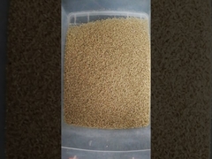 Brown Rice Color Sorter 2 Ton/H Capacity With 5400 Pixel Intelligent