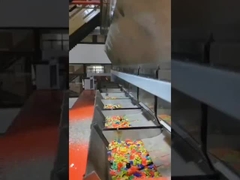 플라스틱 조각 및 펠릿을 위한 벨트형 색상 분류기