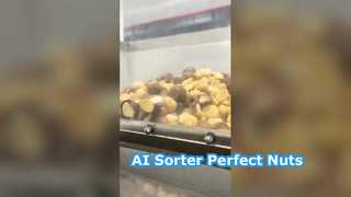 Ai 딥 러닝 스마트 마카다미아 색상 분류 기계, 128채널.