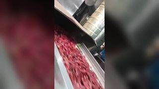 추적된 칠리 색상 분류기 2개