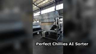 벨트형 색상분류기