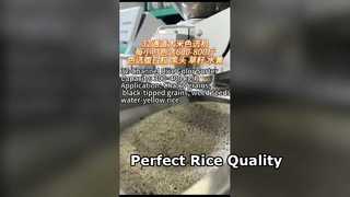 중소형 정미소용 32채널 쌀 색상 분류기.